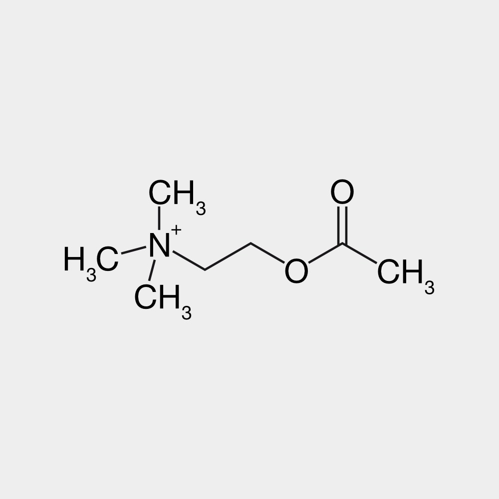 Acetylcholine Molecule