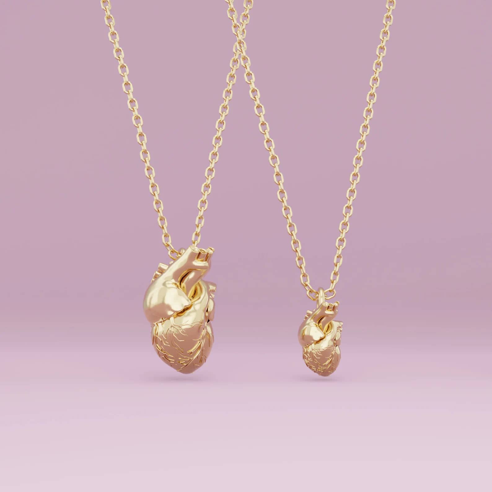A small and big anatomical heart / love necklace