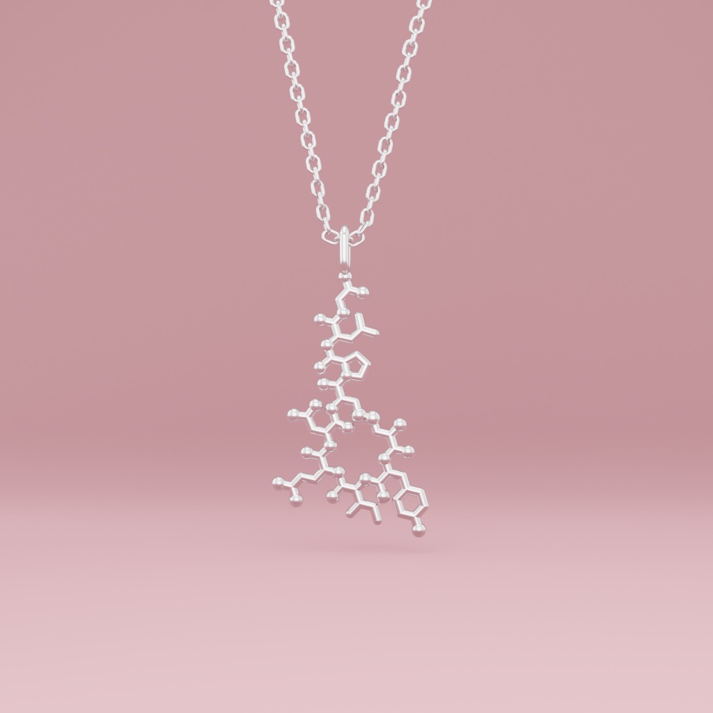 An example of chemistry & science jewelry: a hanging oxytocin molecule necklace in silver